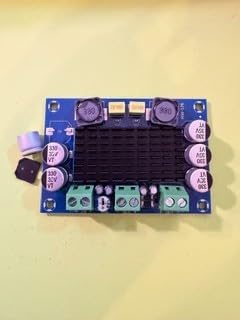 HiLetgo 2pcs TPA3116 100W Audio Amplifier Board DC 12V 24V TPA3116DA Mono Channel Digital Audio Amplifier customer photo 2