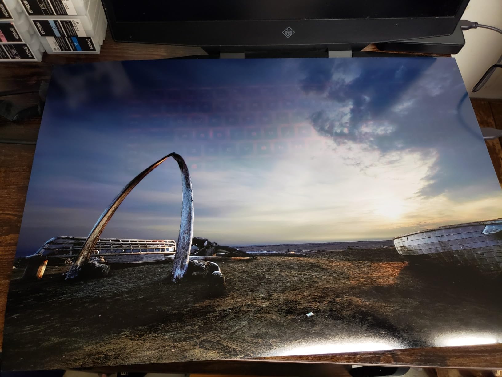 Epson SureColor P700 13-Inch Wireless Photo Printer customer photo 2