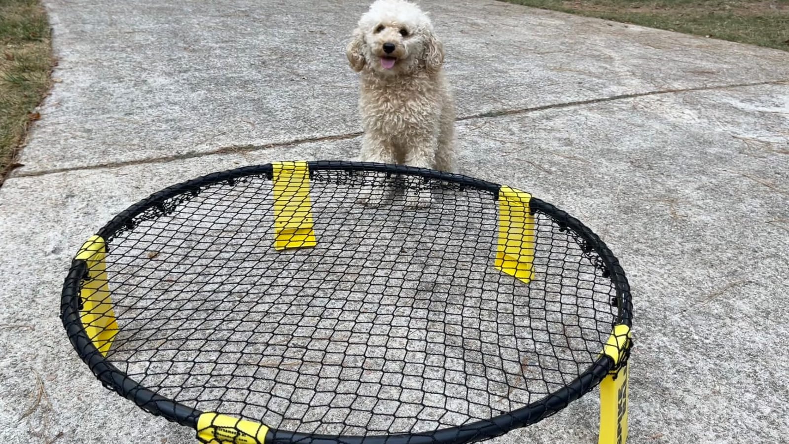 Replacement Net 35.4