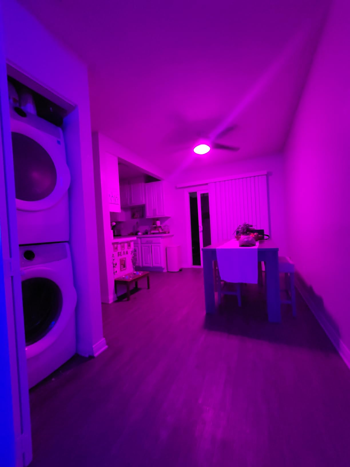 Govee LED Smart Light Bulbs, 1000LM RGBWW A19 75W E26 Base 2 Pack customer photo 2