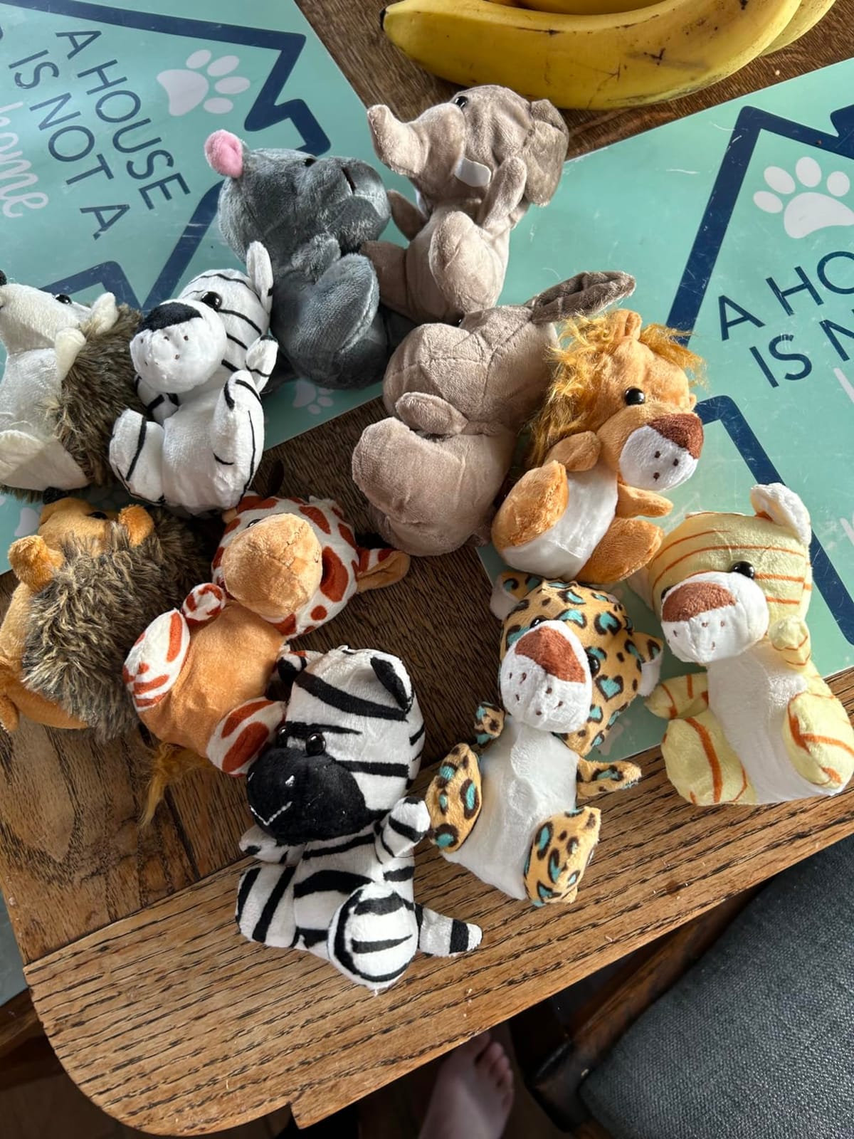 12 Pack Small Stuffed Animals Bulk, 4.5 Inch Mini Plush Toys School Prize | Treasure Box Toys for Classroom, Party Favors for Kids, Plush Keychain, Claw Machine Prizes, White Elephant Gifts customer photo 2
