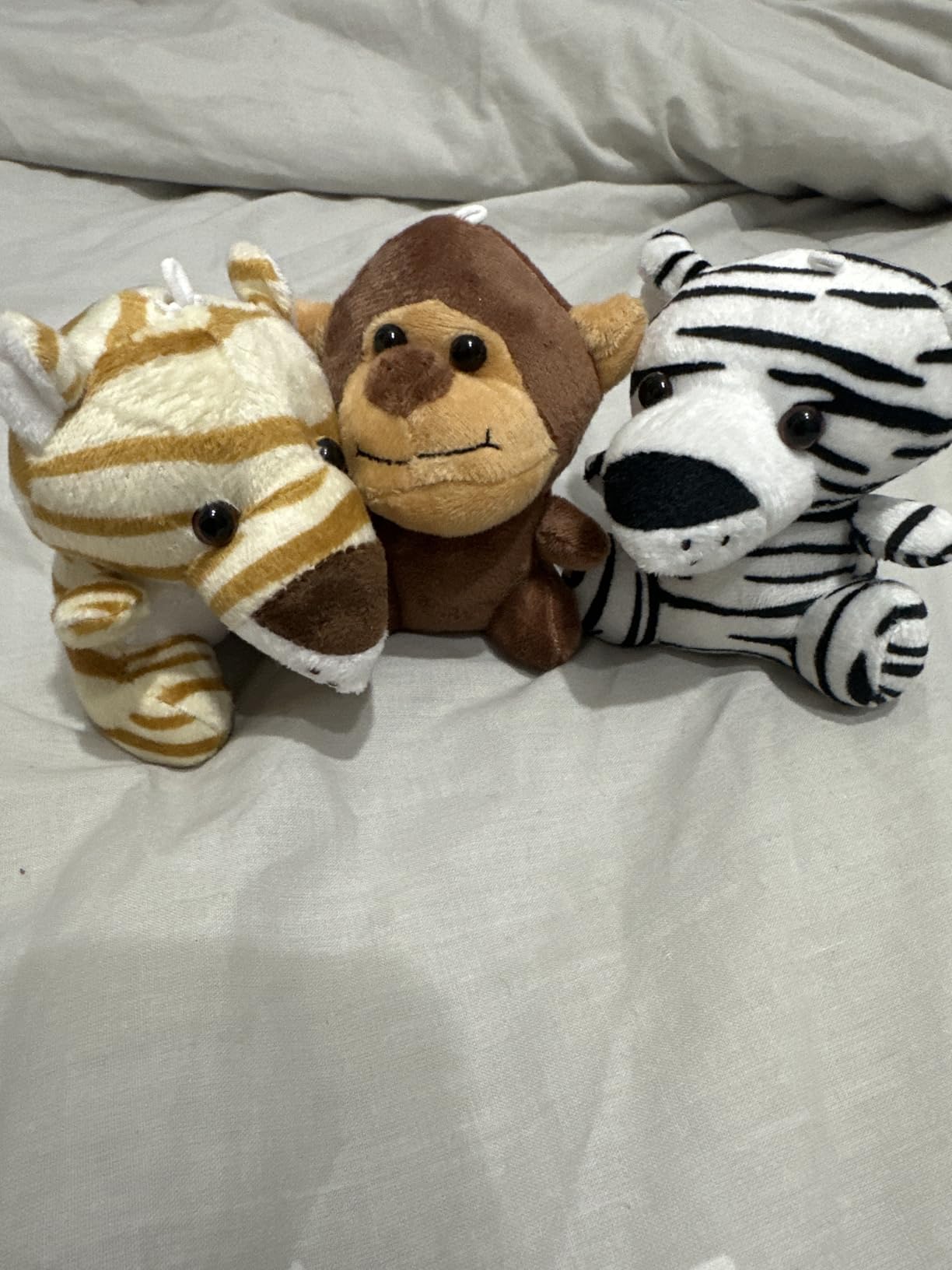 Mini Stuffed Animals Bulk, 36 Pack 5-Inch Plush Keychain Toys for Kids | Includes 36 Mini Plush Keychain Toys for Carnival Prizes, Claw Machines, Classroom Treasure Boxes, Pinatas and Baby Showers. customer photo 2