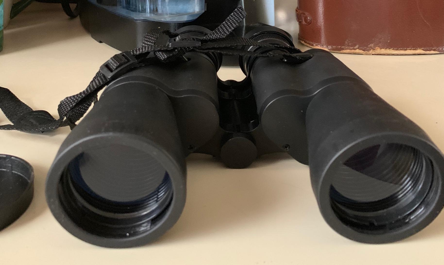 Bushnell Falcon 10x50 Wide-Angle Binoculars | Porro Prism, InstaFocus, BK7, Fold-Down Eyecups, Non-Slip Grip customer photo 1