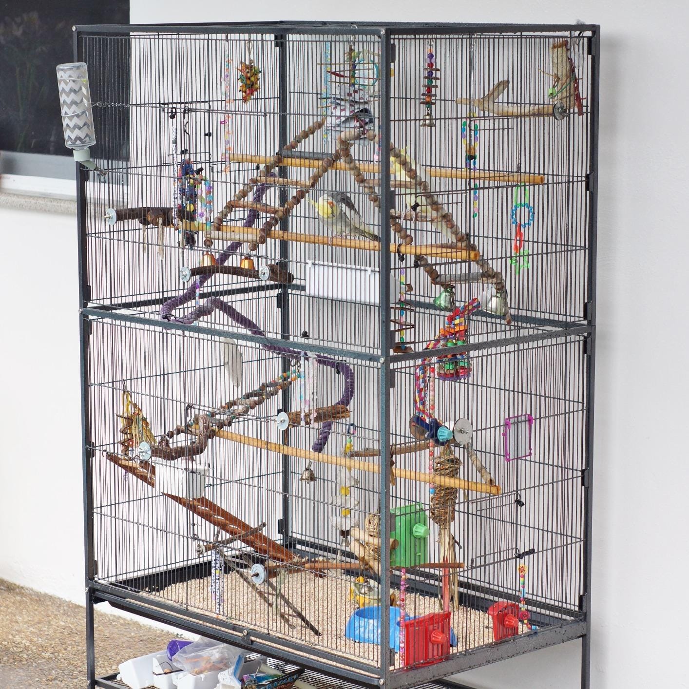 Prevue Hendryx Pet Products Wrought Iron Flight Cage - Big Rolling Bird Cage for Parakeets, Cockatiels, Conures, Lovebirds, Canaries, Finches, Parrotlets, & Caiques, 5 Ft - X-Large, Hammertone Black customer photo 2