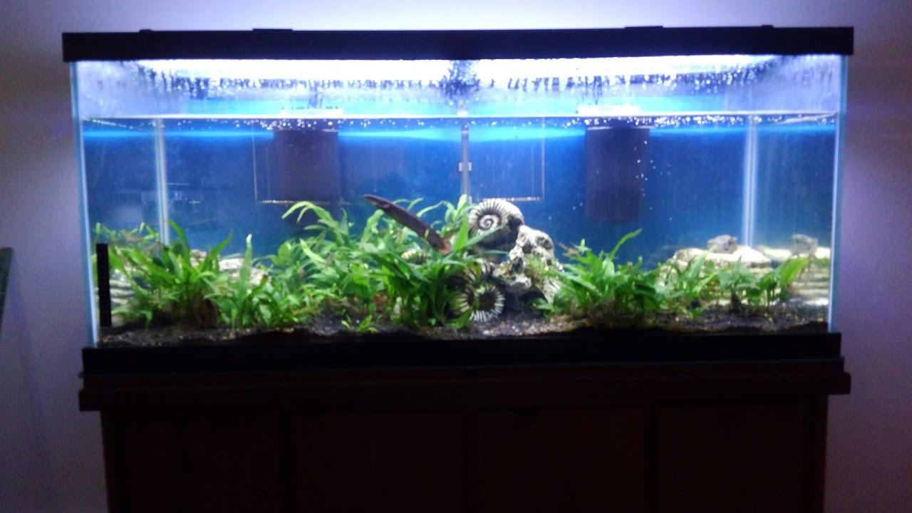 Tetra Whisper 85 GPH Internal Power Filter For Aquariums customer photo 1