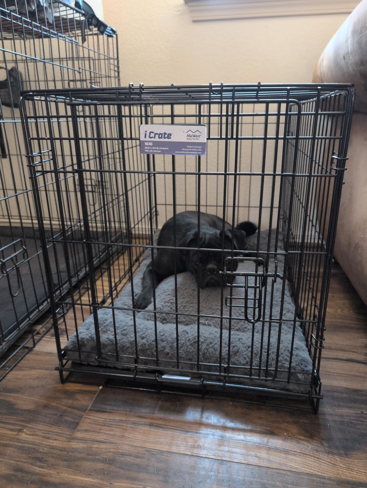Midwest 42-Inch Single Door iCrate, for Large Breeds, 71-90 lbs customer photo 2