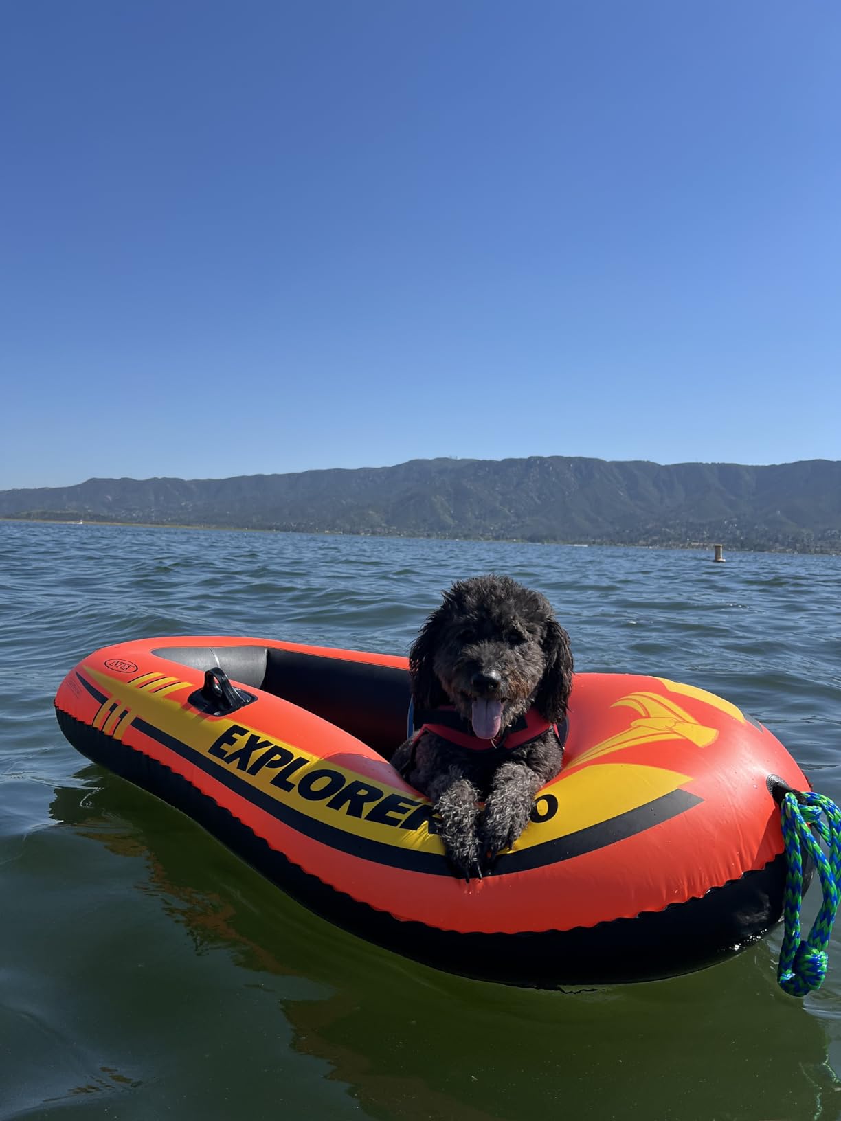 INTEX Explorer Inflatable Boat Series: Dual Air Chambers – Welded Oar Locks – Grab Handles – Bow Rope – Sporty Design customer photo 1