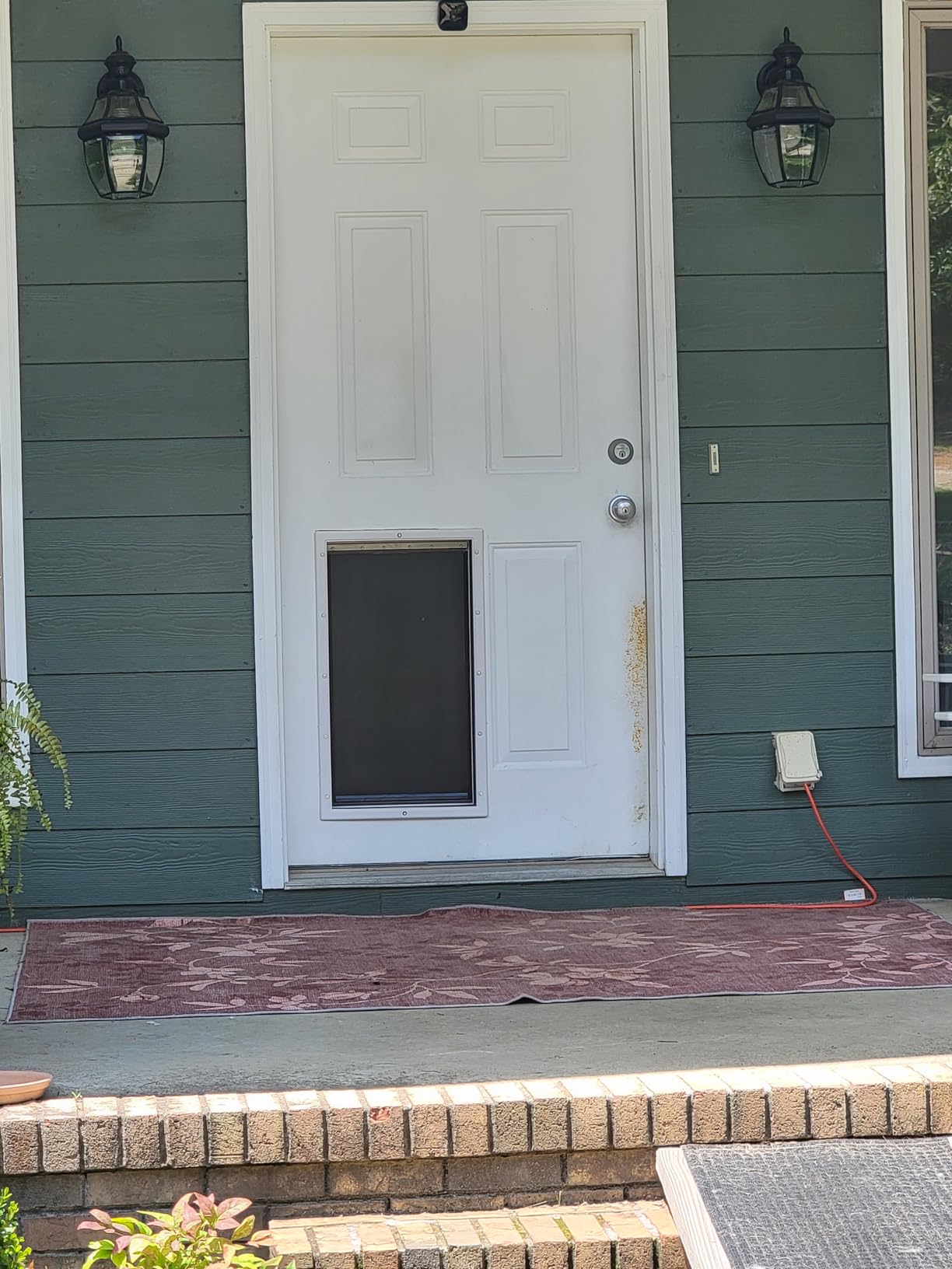 PetSafe Plastic Dog & Cat Door, Pets Up to 220 lb, X-Large customer photo 1