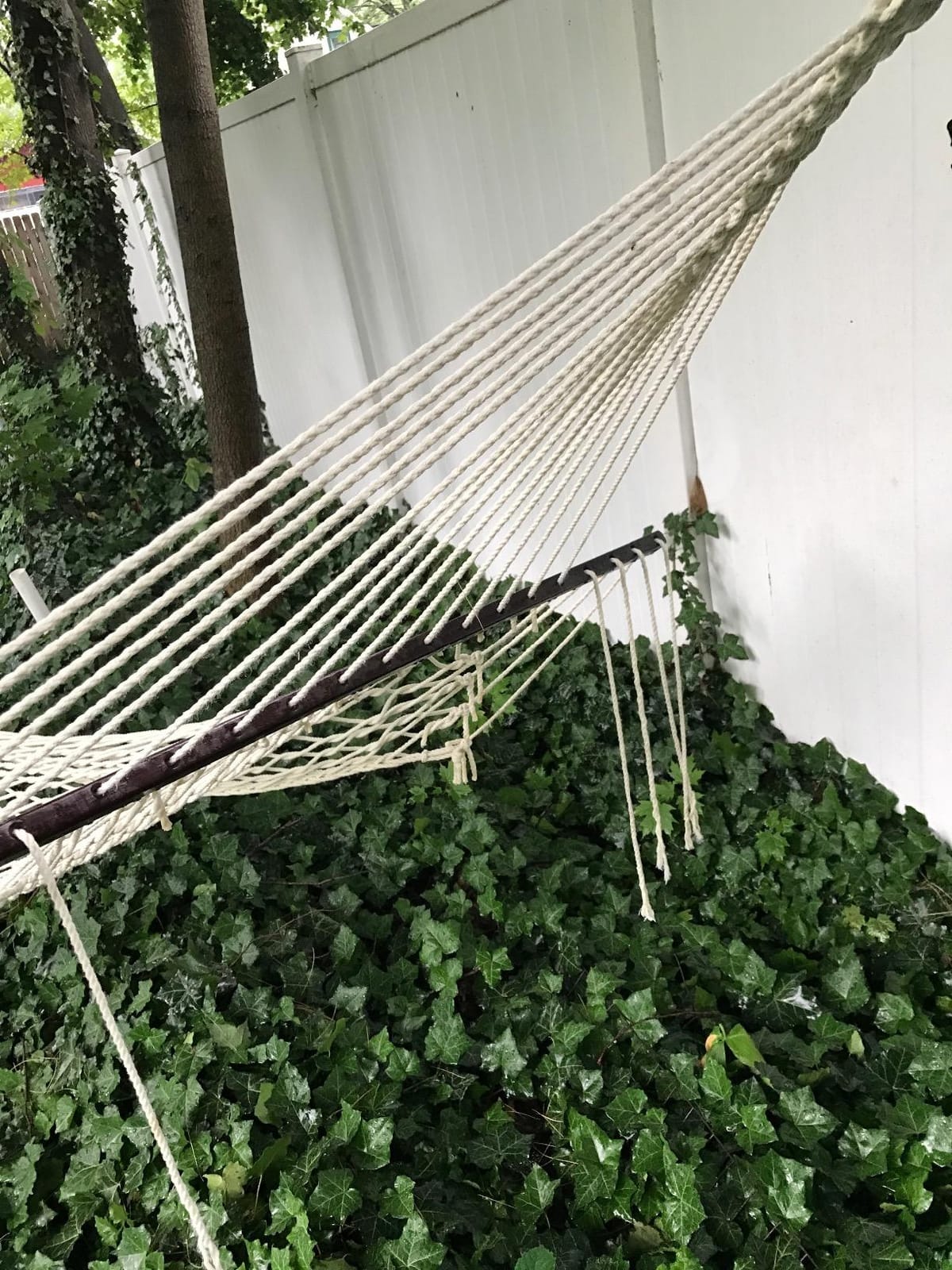 Best Choice Products 2-Person Double Hammock, Outdoor Woven Cotton Rope Hammocks for Backyard, Patio w/Spreader Bars, Carrying Case, 450lb Weight Capacity customer photo 2