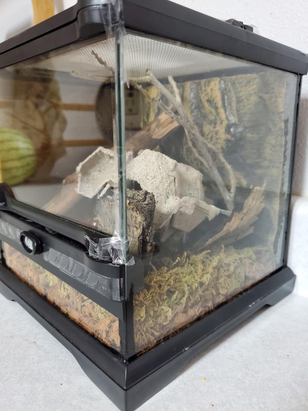 Exo Terra Glass Terrarium Kit, for Reptiles and Amphibians, Nano, 8 x 8 x 8 inches, PT2599A1 customer photo 2