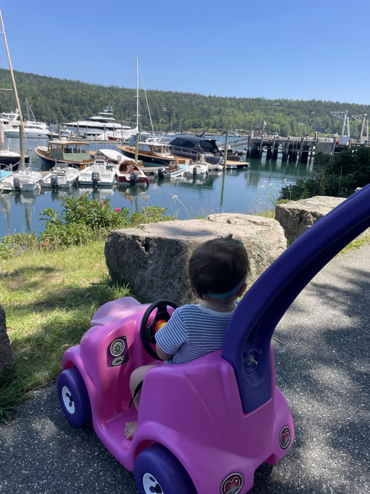 Step2 Push Around Buggy Kids Push Car, Ride On Toy, Stroller Substitute, Includes Seat Belt & Horn, Made of Durable Plastic, Max Weight 50 lbs., For Toddlers 1.5-4 Years Old, Pink customer photo 1