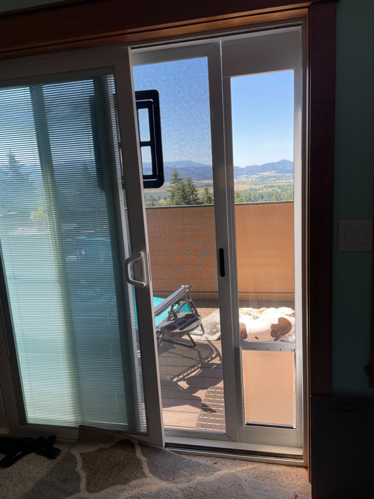 PetSafe Sliding Glass Pet Door, 1 Piece, Large Dogs to 100 lbs, White customer photo 1