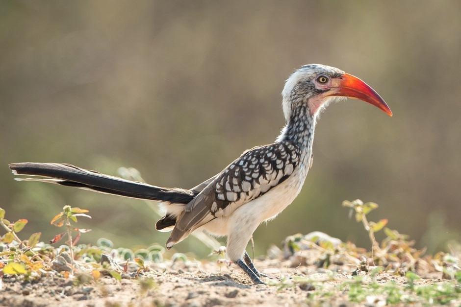 Canon EOS 6D 20.1 MP CMOS Digital SLR Camera with 3.0-Inch LCD (Body Only) customer photo 1