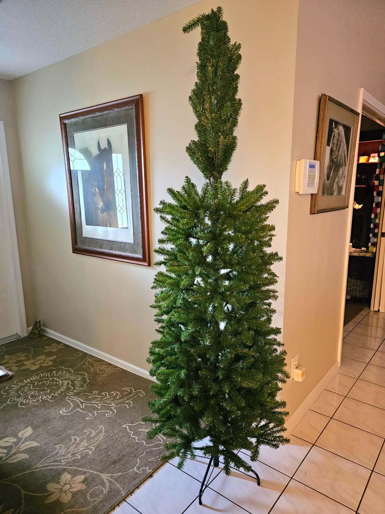 National Tree Company 7.5ft Unlit Kingswood Fir Slim Christmas Tree customer photo 2