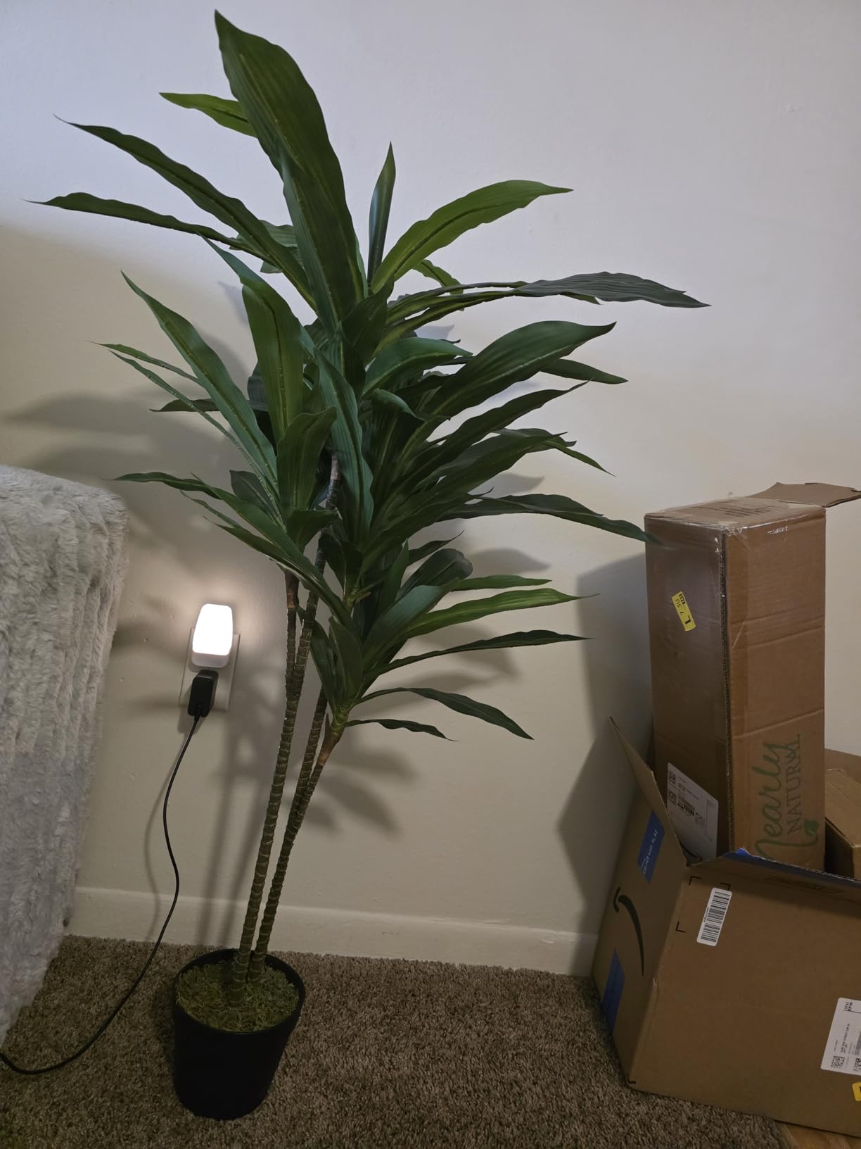 Nearly Natural 48 in Artificial Dracaena Real Touch Plant with Pot customer photo 1