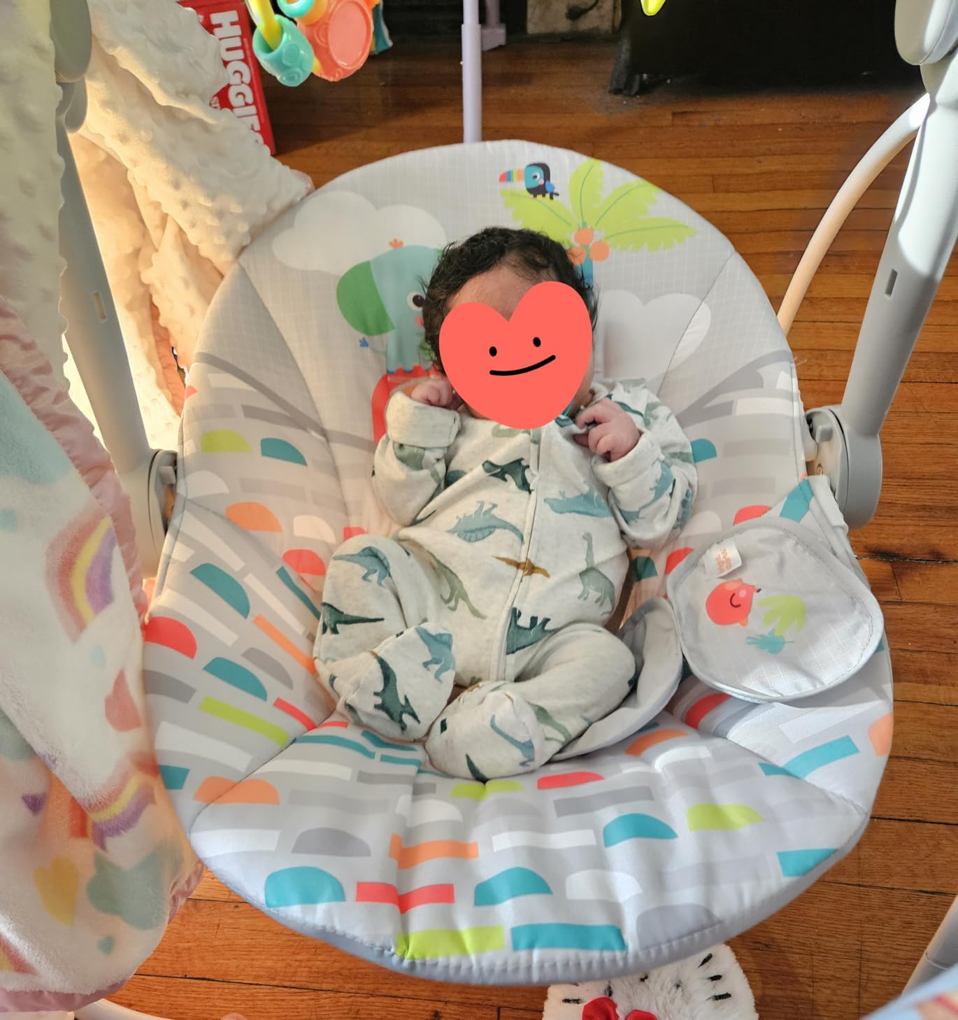 Bright Starts Whimsical Wild Portable Baby Swing, Newborn to 9 Months customer photo 2