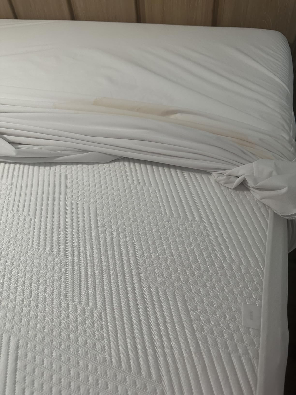 Guardmax Queen Mattress Protector Zippered, Bed Bug Mattress Cover customer photo 1
