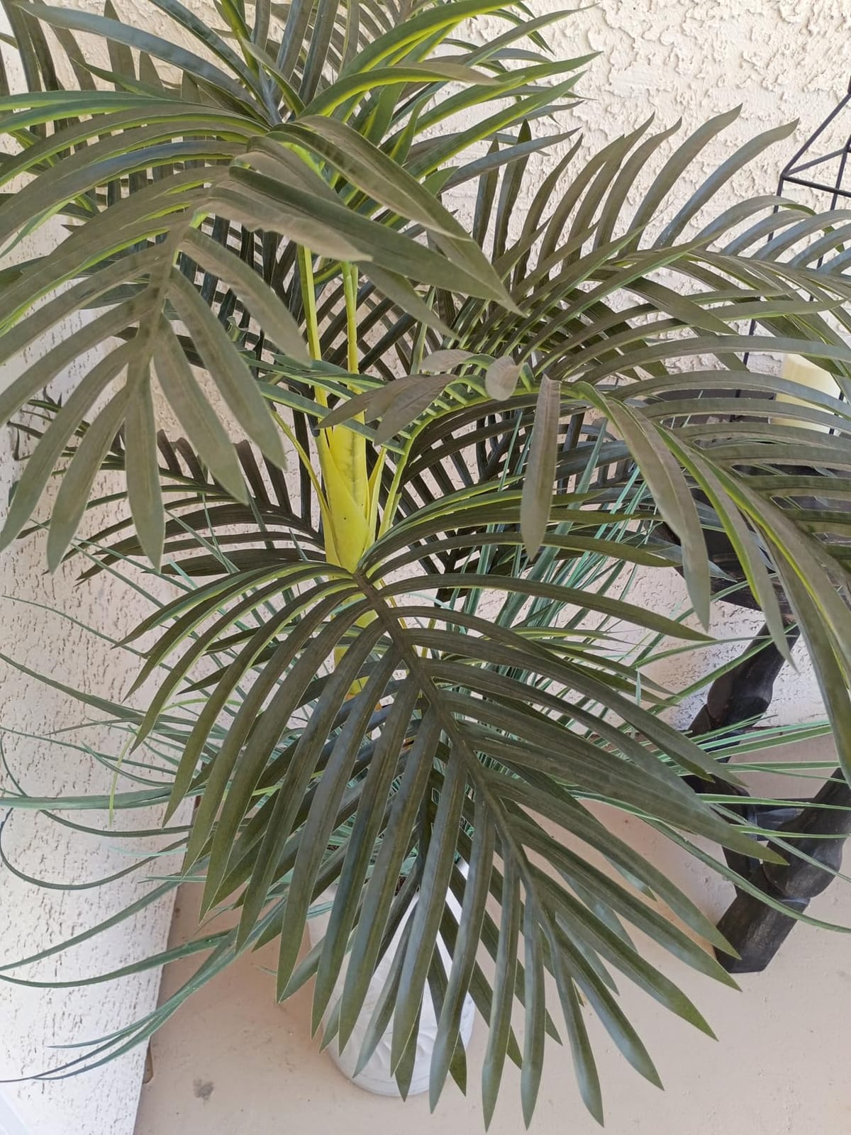 Nearly Natural 4 ft Artificial Golden Cane Palm Tree with Nursery Pot customer photo 1