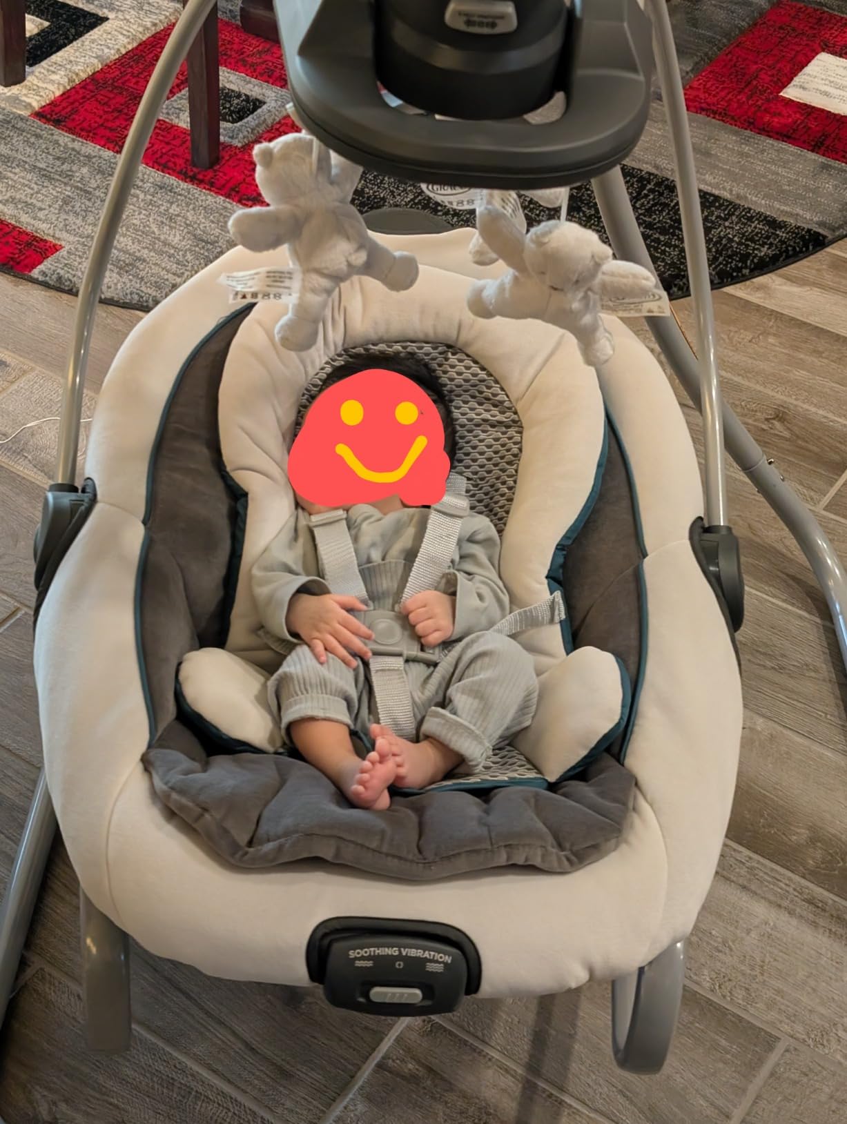 Graco DuetSoothe 2-in-1 Portable Baby Swing & Rocker, Sapphire customer photo 2