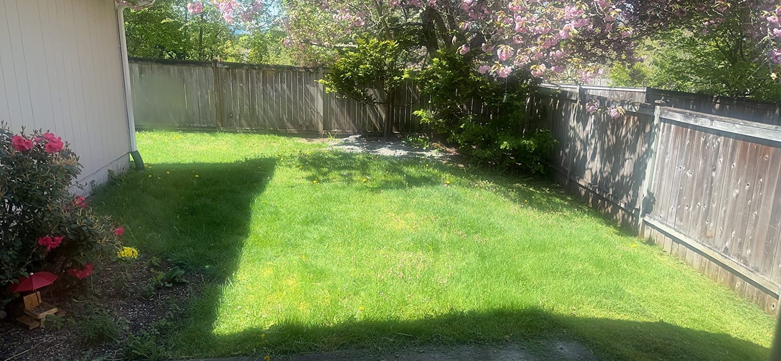 BLACK+DECKER 20V MAX String Trimmer and Edger 2 in 1, Cordless Weed Wacker with Auto Spool Feed, Battery and Charger Included, 12 Inch Steel Deck, Reduced Vibration (LST300) customer photo 1