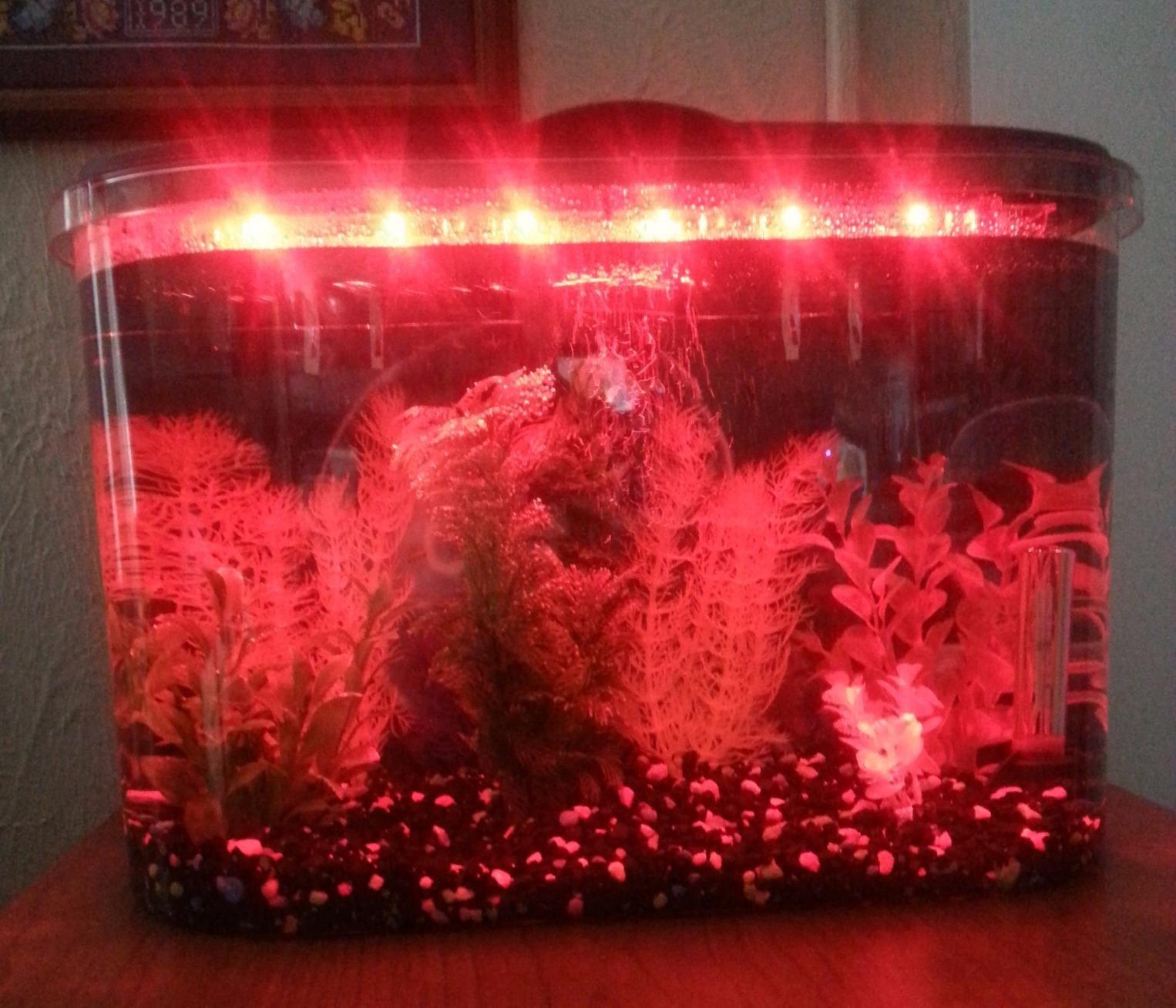 Koller Products 5-Gallon Aquarium Kit with LED Lighting and Power Filter, Ideal for a Variety of Tropical Fish customer photo 1