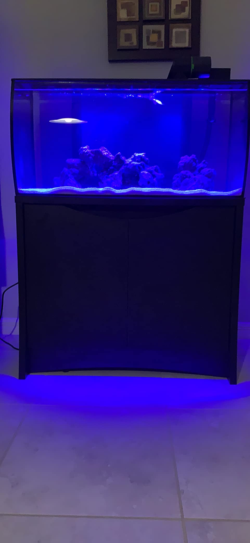 SunSun Hw303B 370GPH Pro Canister Filter Kit with 9-watt UV Sterilizer customer photo 2