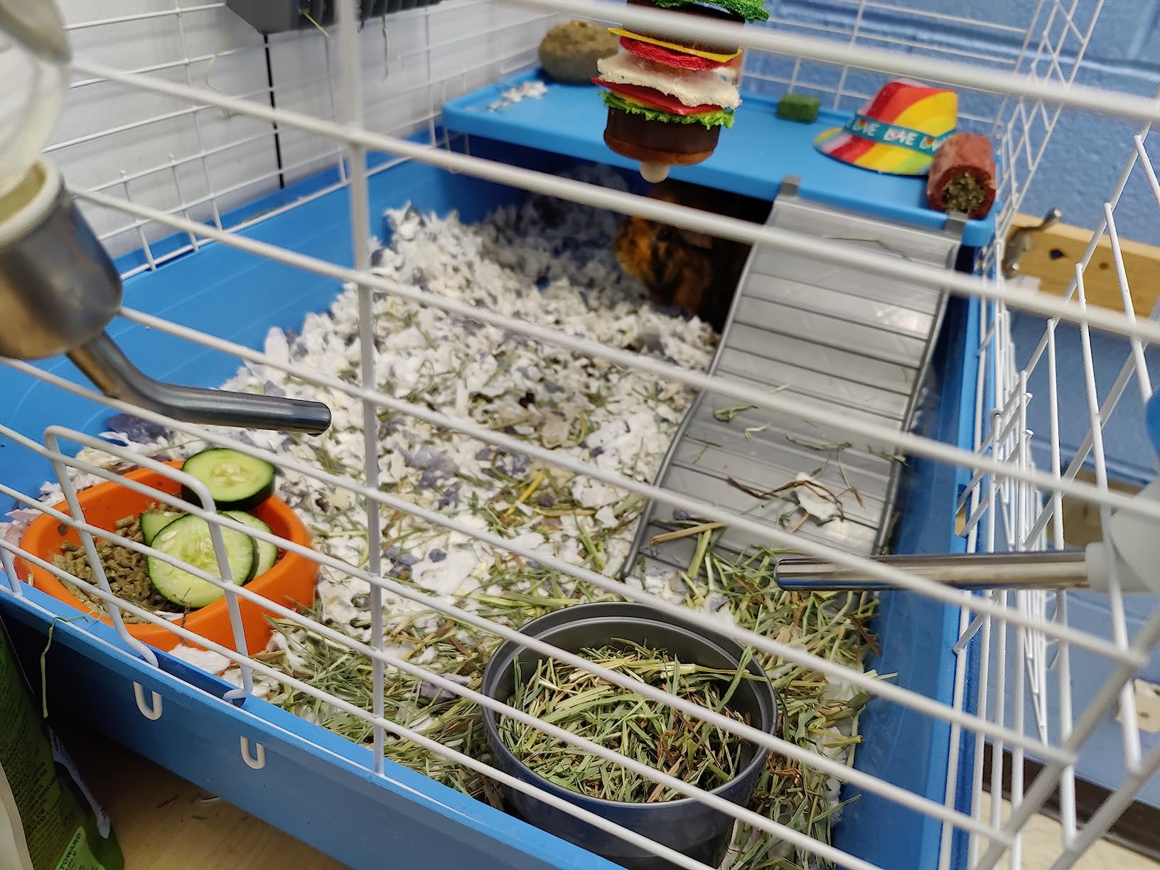 Kaytee Deluxe 2-Level Habitat for Pet Guinea Pigs customer photo 1