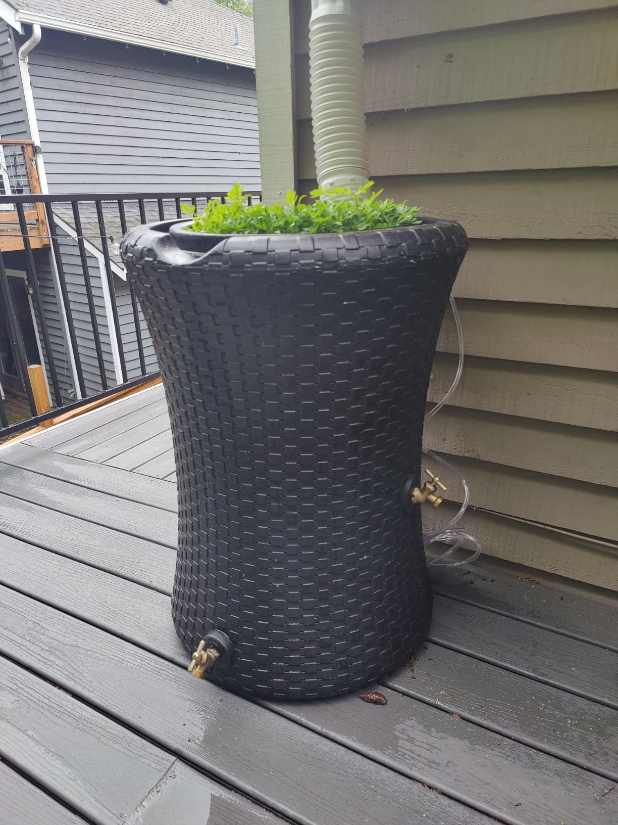 Good Ideas Impressions Nantucket Rain Water Collection Barrel, 50 Gallon customer photo 1