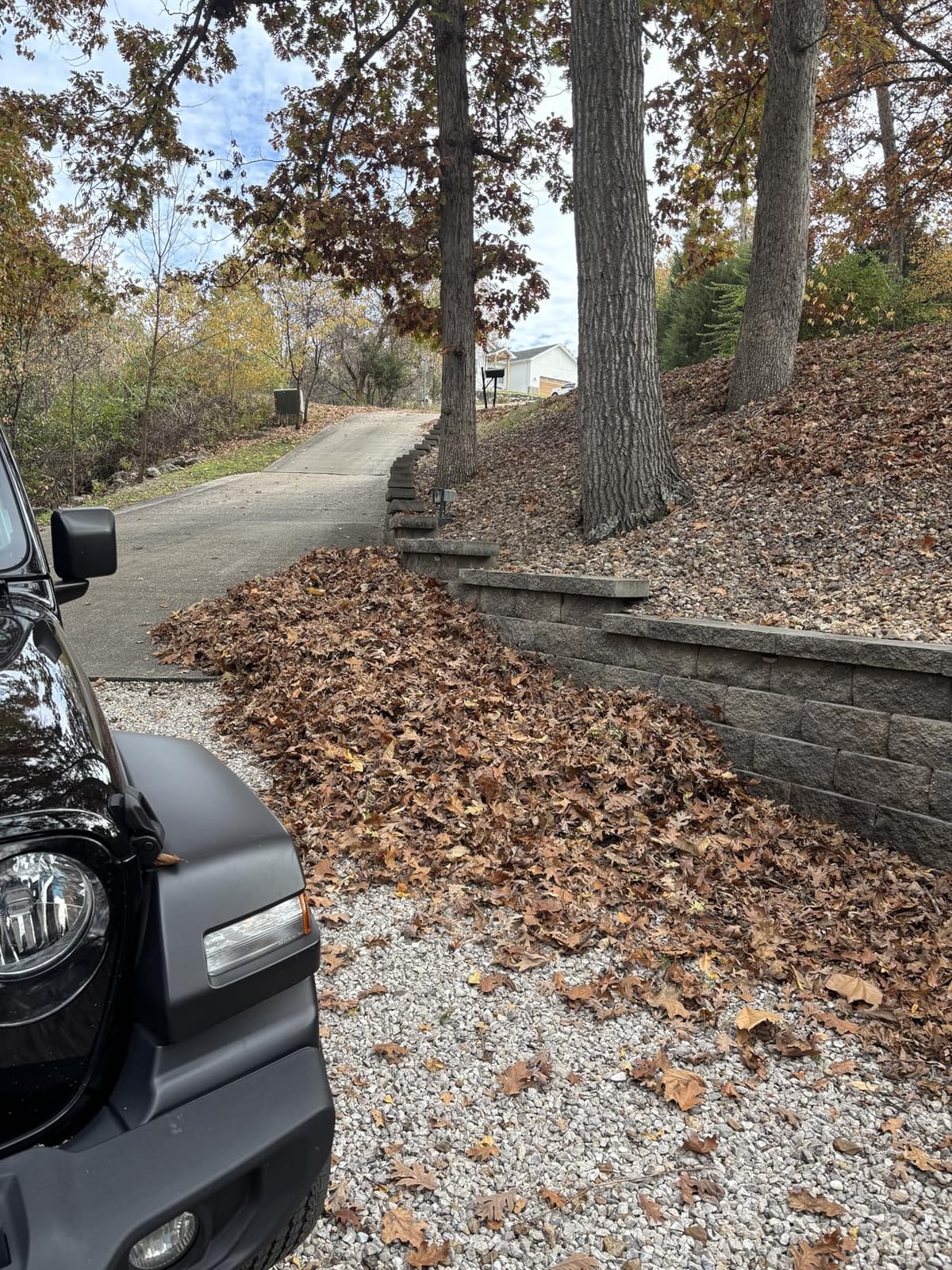 WORX 12 Amp Turbine Electric Leaf Blower for Daily Leaf Removal, WG520 customer photo 2