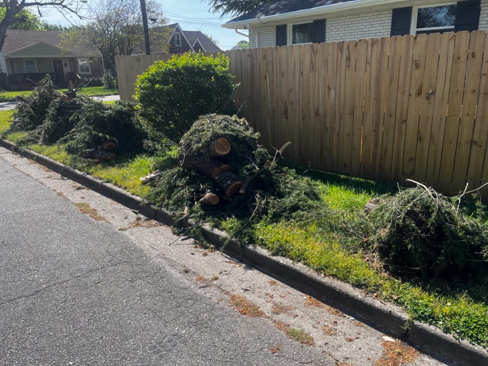 Sun Joe Corded Electric Telescoping Pole Saw, Pruning Power Tool with 10 Inch Bar, 8 Amp Power with 14 Foot Reach for Ground-Level Tree Trimming. customer photo 1