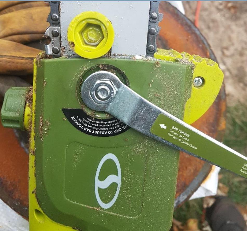Sun Joe Corded Electric Telescoping Pole Saw, Pruning Power Tool with 10 Inch Bar, 8 Amp Power with 14 Foot Reach for Ground-Level Tree Trimming. customer photo 2