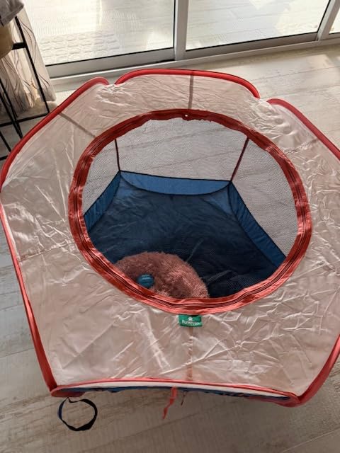 FurHaven Soft-Sided Dog & Cat Playpen, Portable Foldable Indoor & Outdoor Pet Playpen with Mesh Windows & Zippered Door, Gray, Extra Large customer photo 1