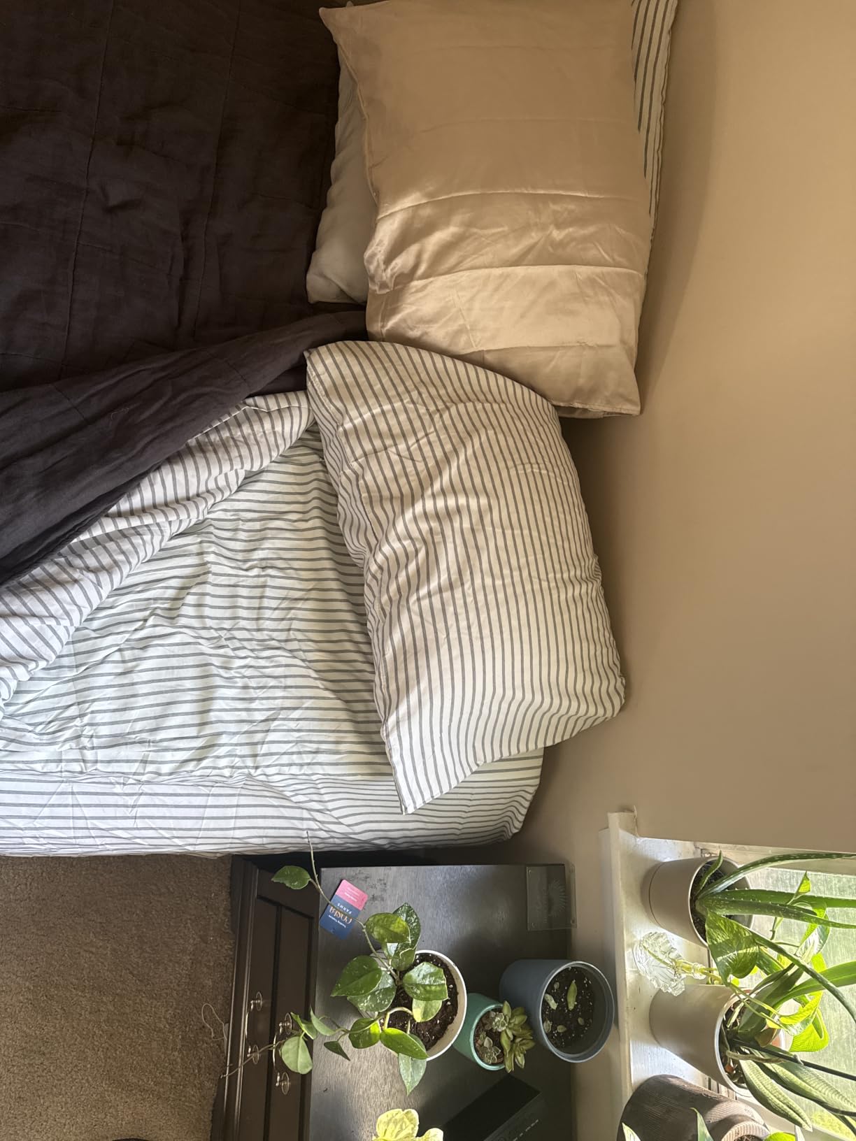 Queen Size 4 Piece Sheet Set - Comfy Breathable & Cooling Sheets - White customer photo 1