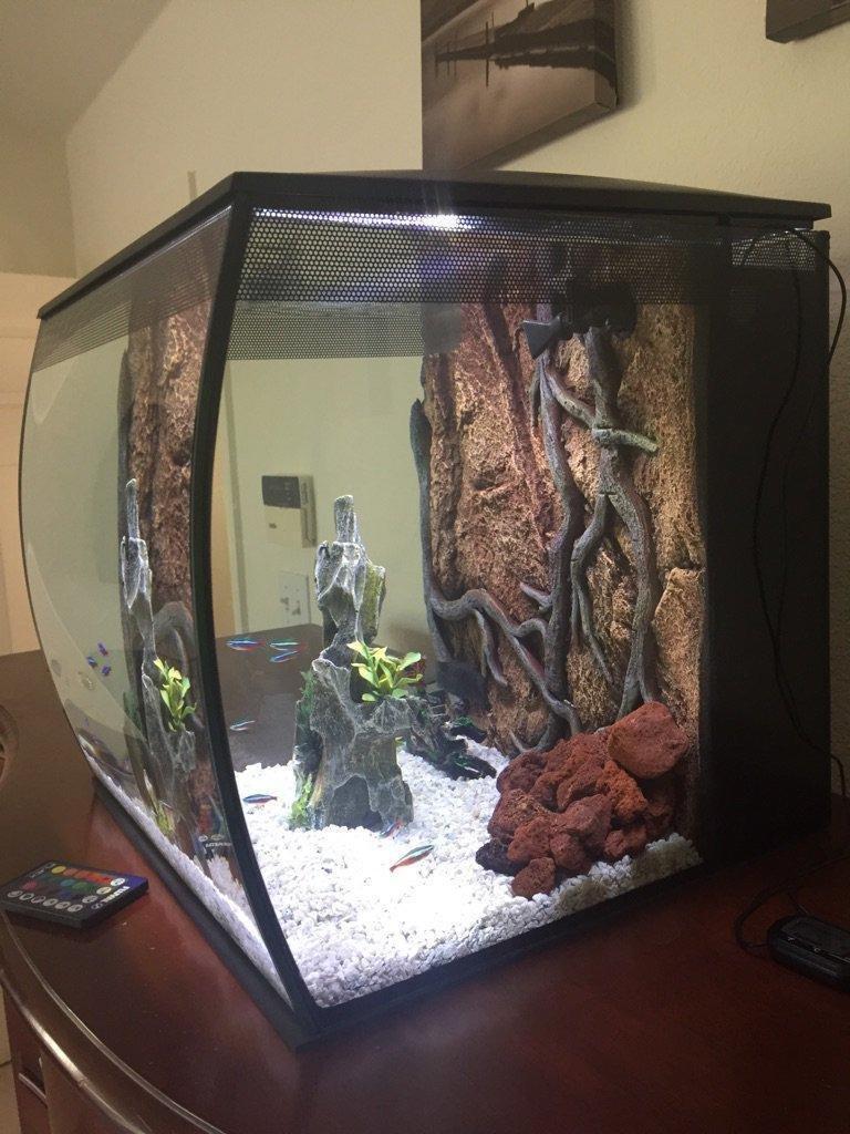 Fluval Flex 57 - 15 Gallon Nano Glass Aquarium Kit customer photo 1