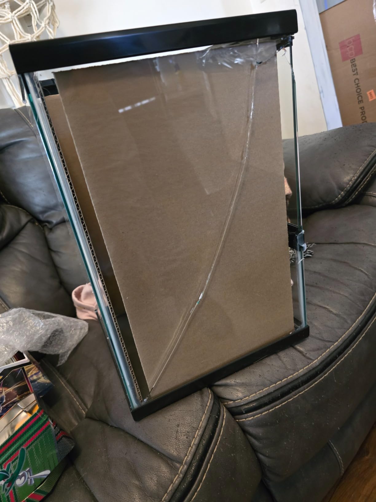 Zilla 11 Gallon Glass Tropical Vertical Terrarium Kit customer photo 1