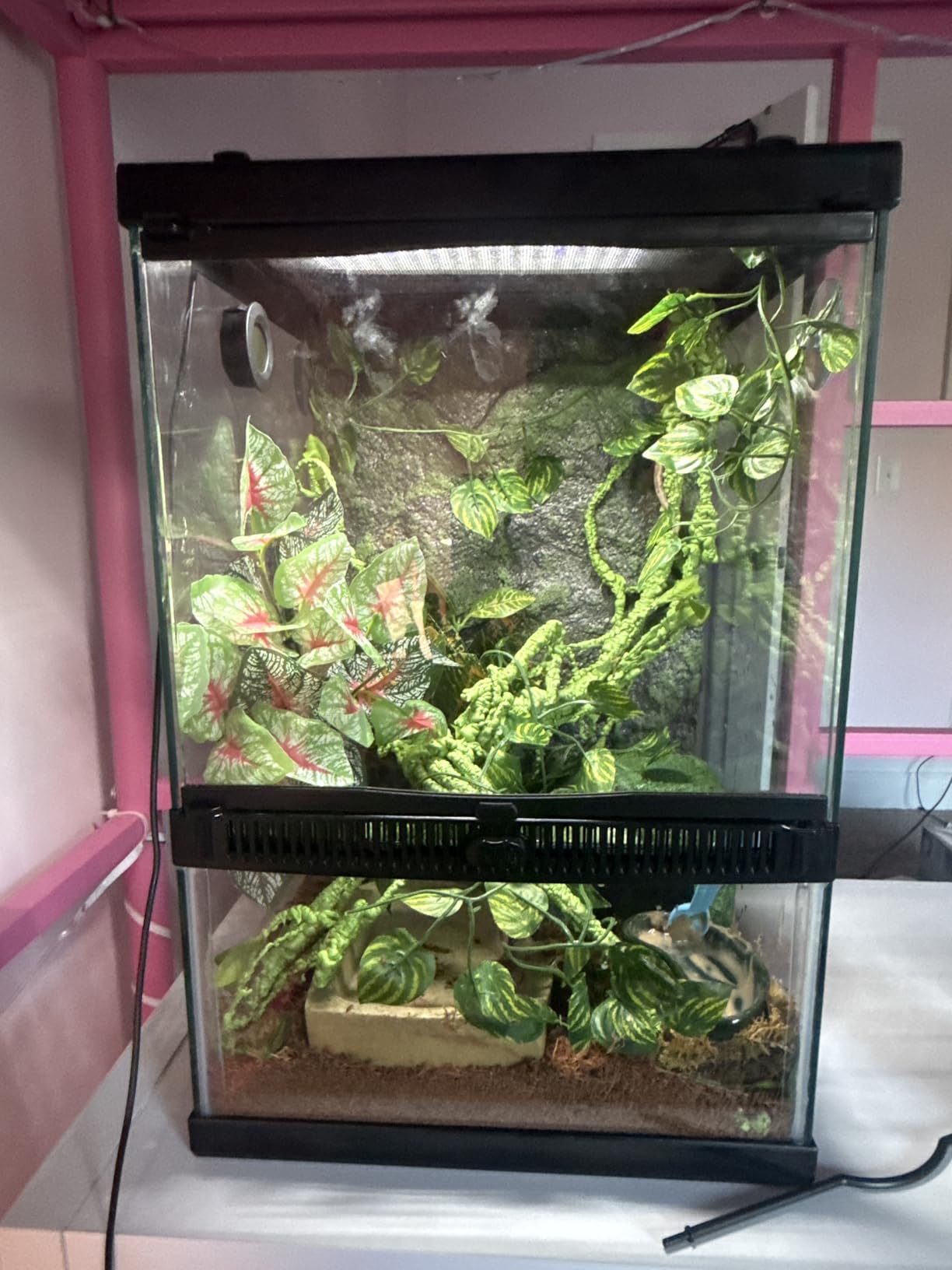 Zilla 11 Gallon Glass Tropical Vertical Terrarium Kit customer photo 2