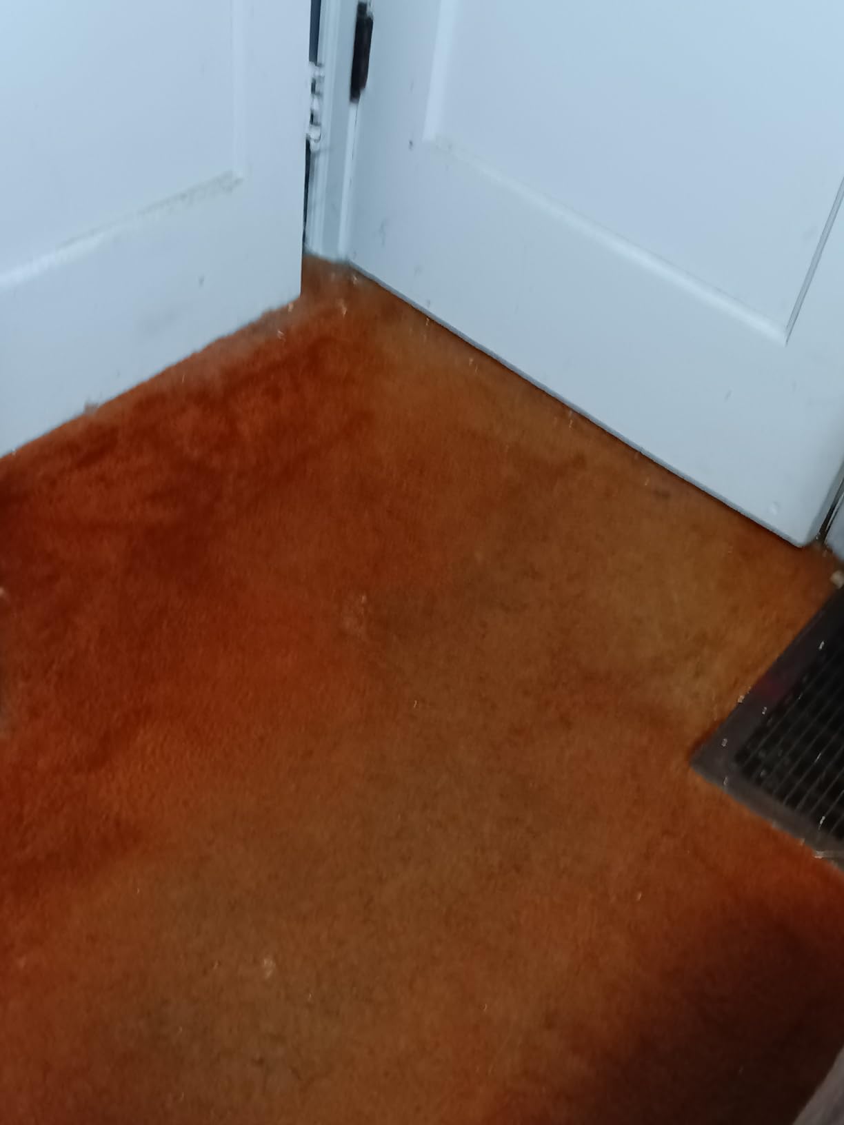 BLACK+DECKER Carpet Sweeper 50 Minute Lithium Floor Sweeper, Multi-Surface Use, Easy One Hand Cleaning, Self Standing, Charger Included (HFS115J10) customer photo 1