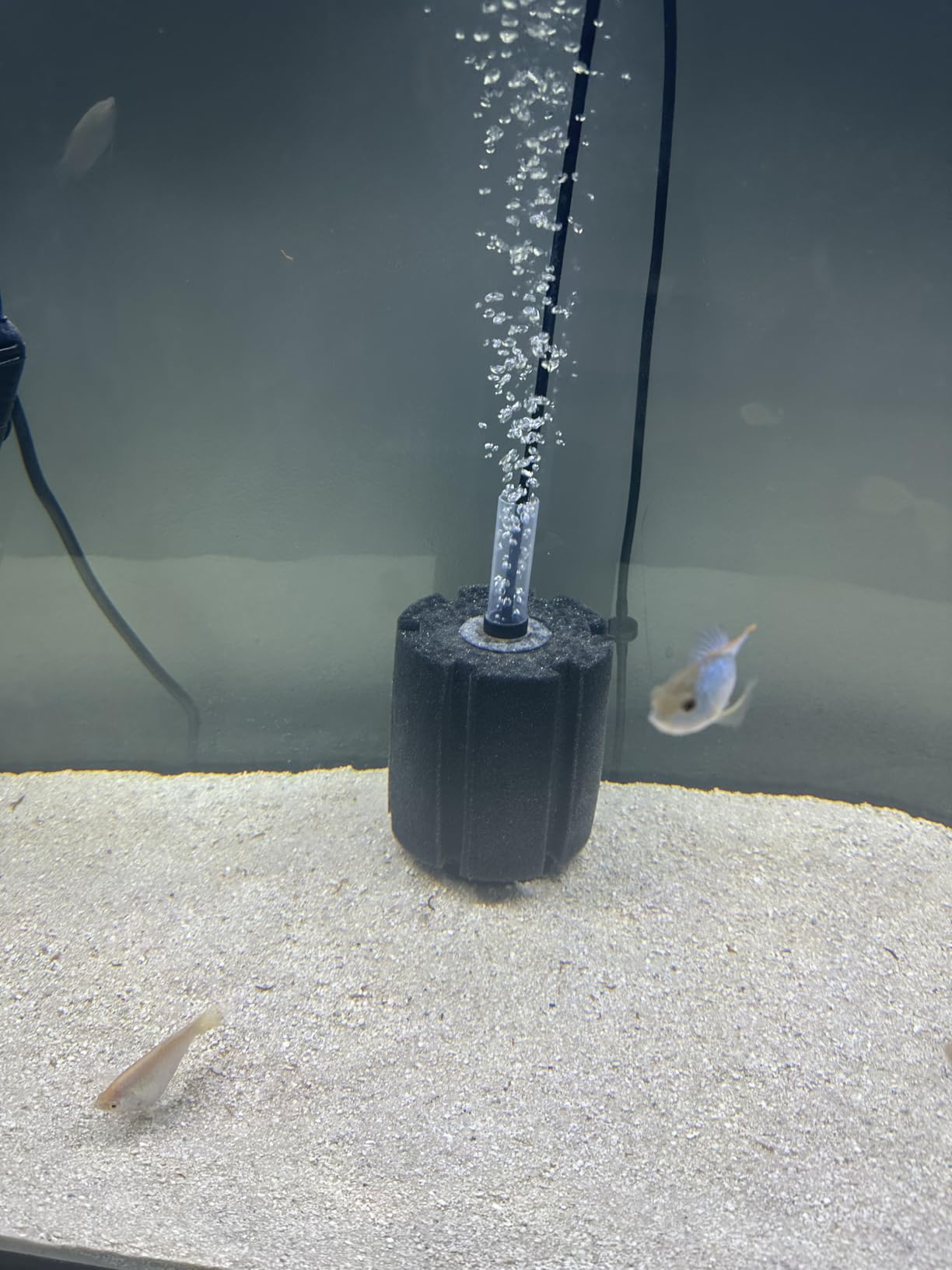 AQUANEAT Aquarium Bio Sponge Filter Breeding Fry Betta Shrimp Nano Fish Tank (Large up to 60Gal) customer photo 2
