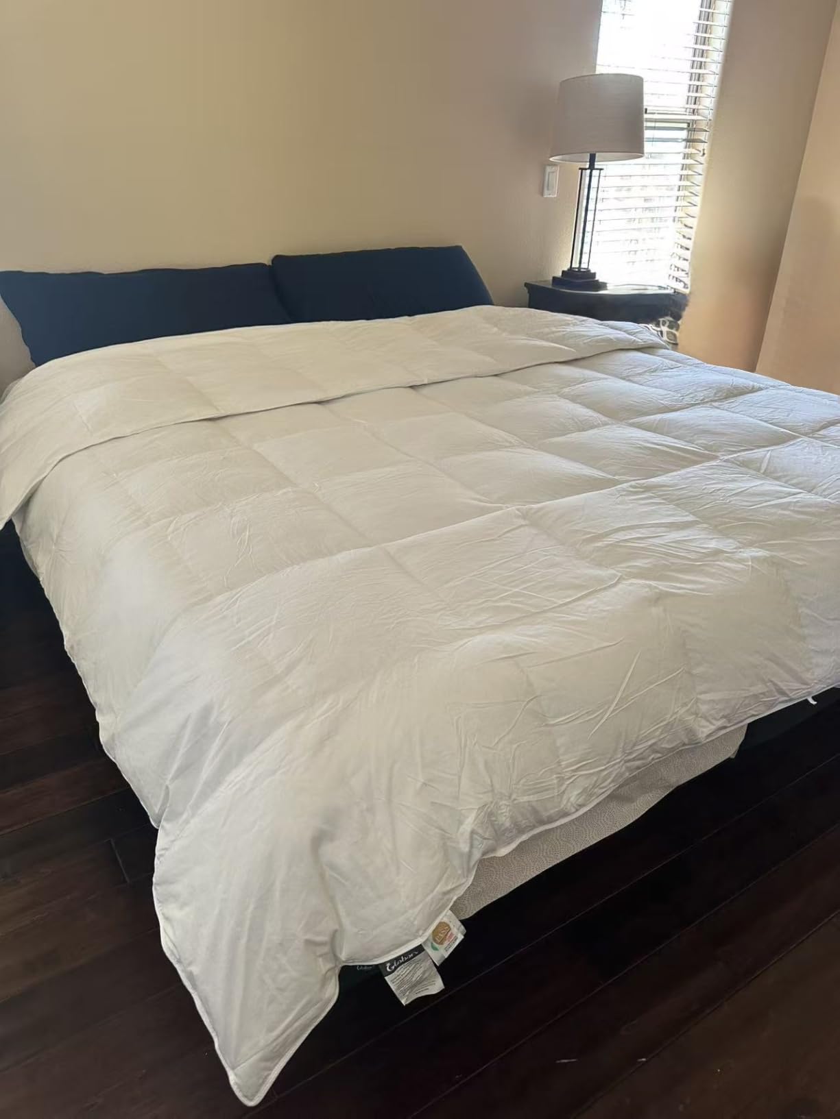 Globon Winter Goose Down Comforter King Size,800 Fill Power Duvet Insert customer photo 1