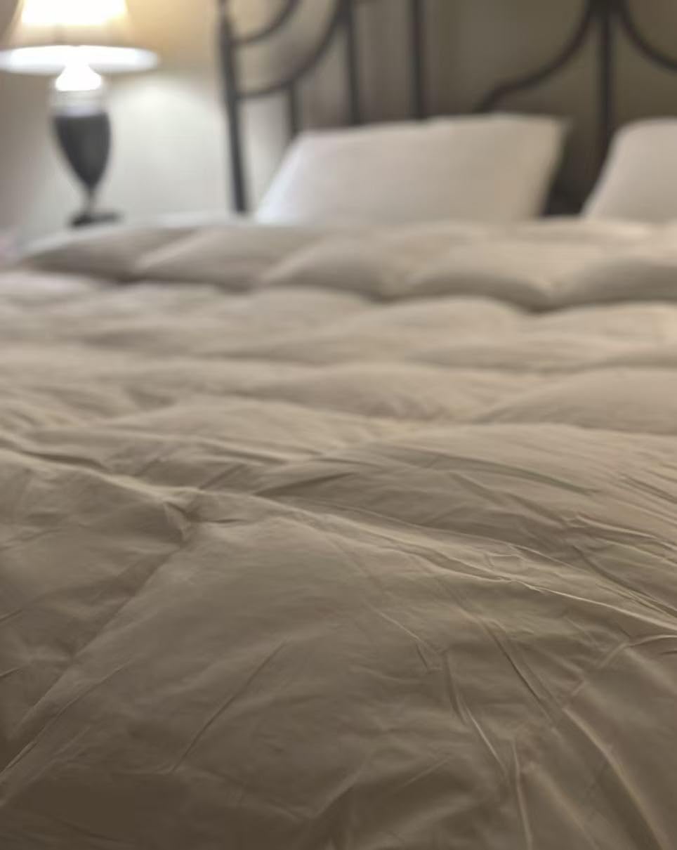 Globon Winter Goose Down Comforter King Size,800 Fill Power Duvet Insert customer photo 2