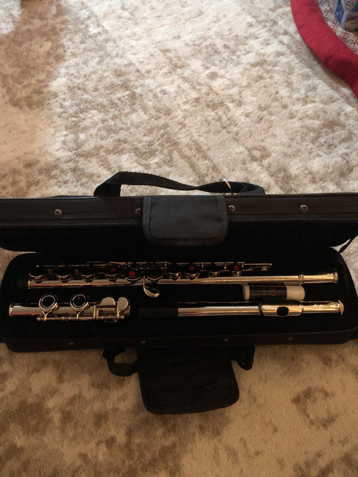 Mendini by Cecilio 16 Keys Closed Hole C Flute Kit for Beginners - Nickel customer photo 2