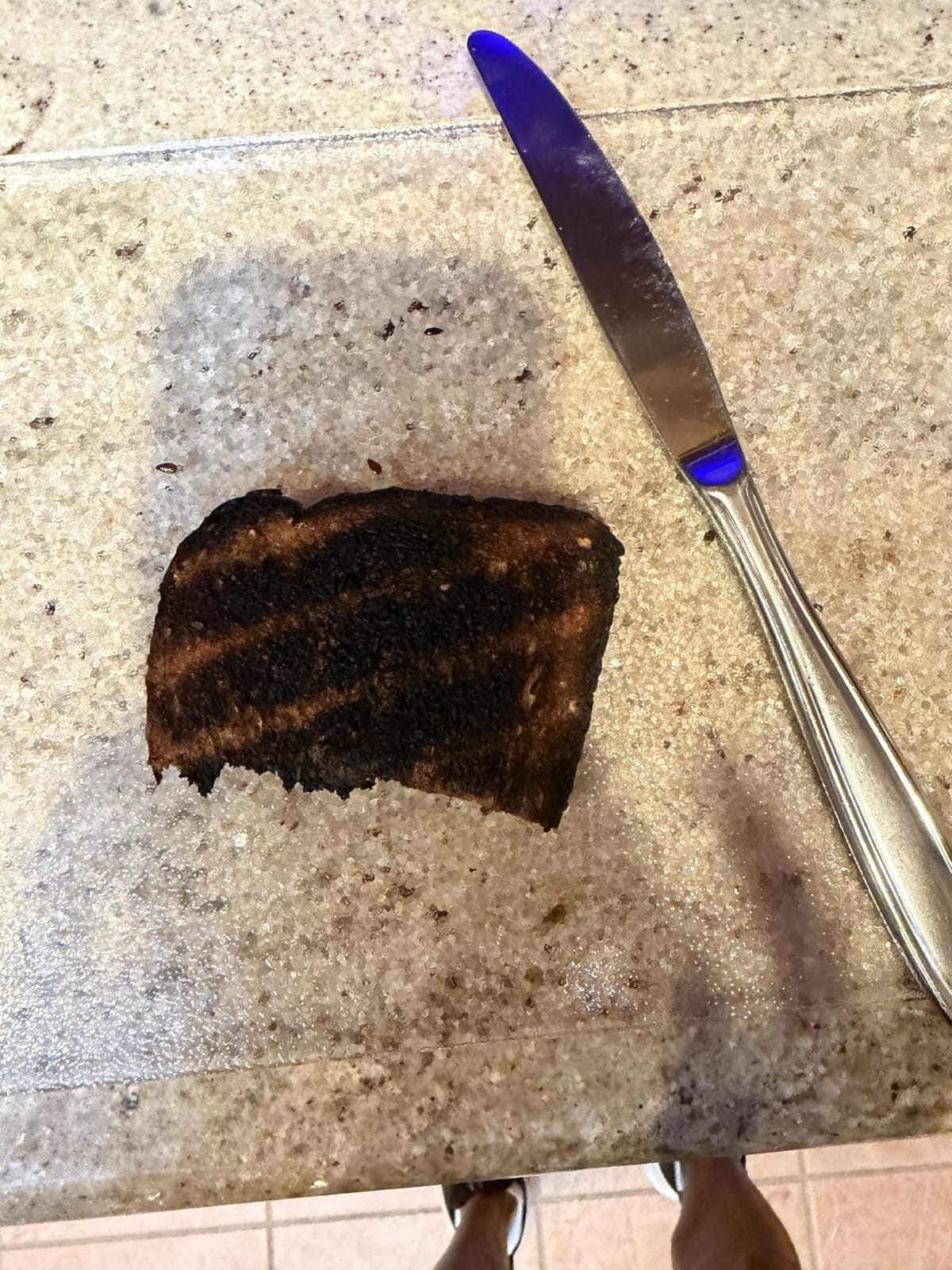 BLACK+DECKER 4-Slice Toaster Oven with Natural Convection, Stainless Steel, TO1760SS (TO1760SST-1) customer photo 1
