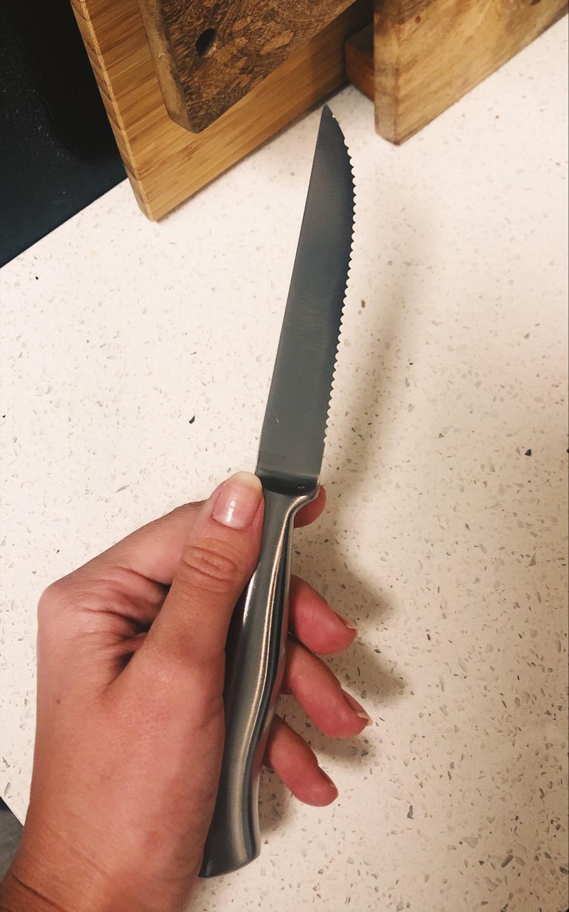 Steak Knife Set of 6, 4.5 inches Dishwasher Safe High Carbon Stainless Steel Knives, Silver customer photo 1