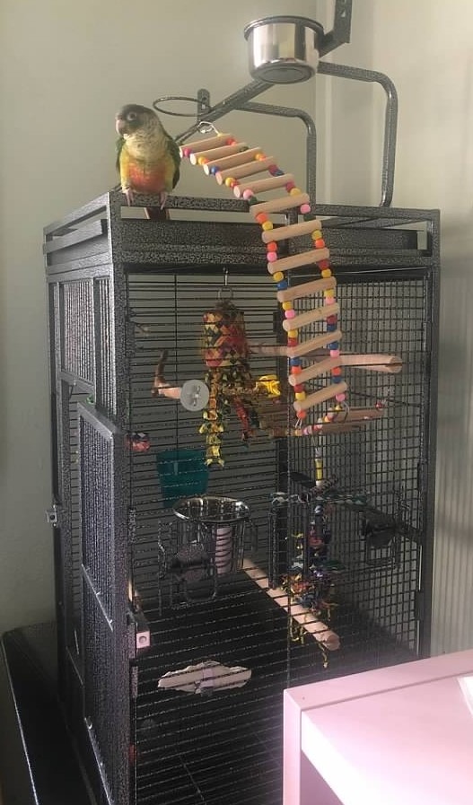 SUPER DEAL PRO 61-inch 2in1 Large Bird Cage with Rolling Stand Playtop Parrot Chinchilla Finch Cage Macaw Conure Cockatiel Cockatoo Pet House Wrought Iron Birdcage, Black customer photo 1