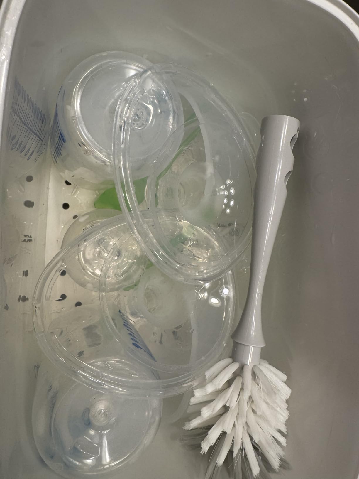 Papablic Baby Bottle Sterilizer and Dryer Pro, 10 Bottles Large Capacity customer photo 1