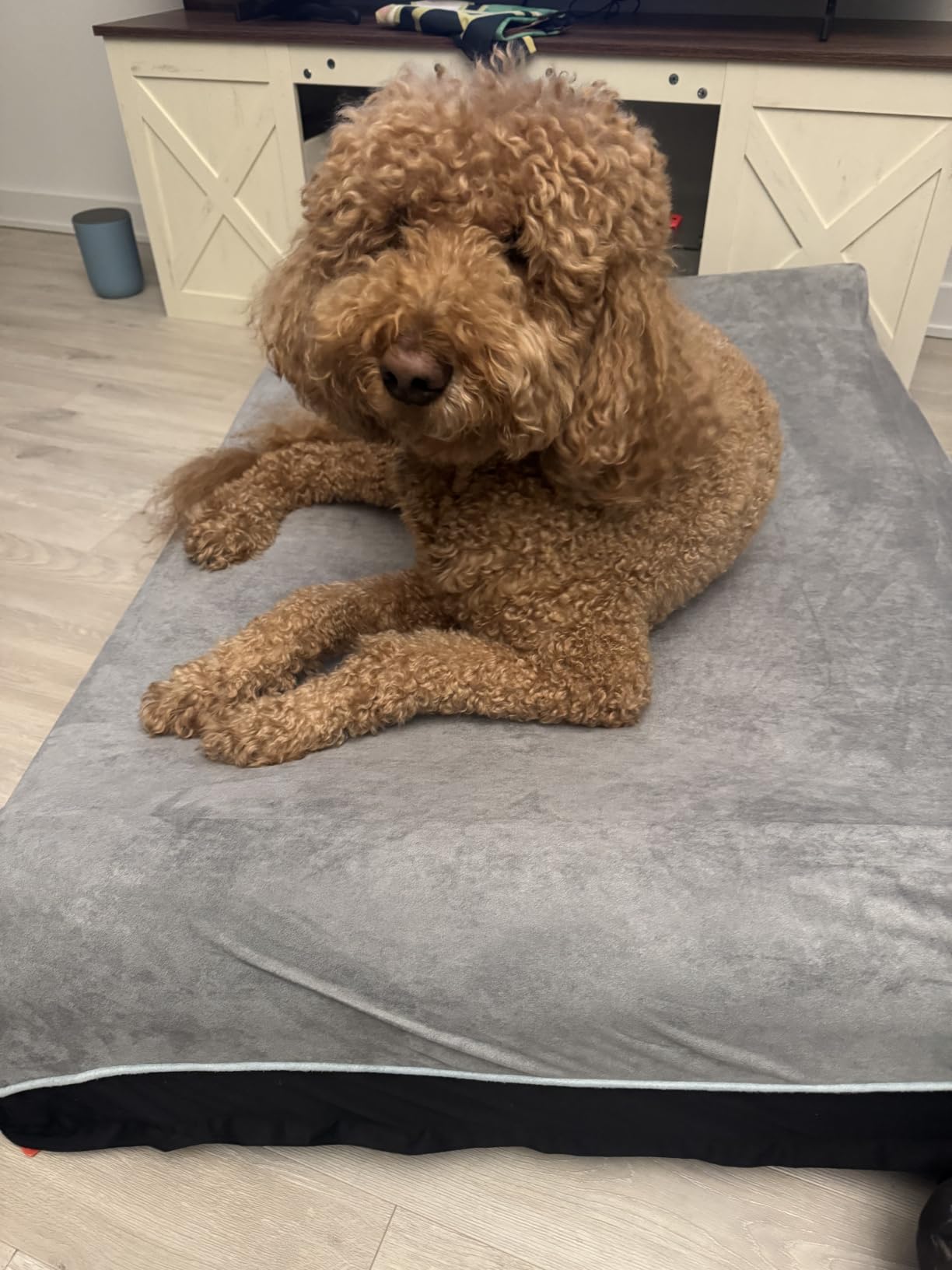 Laifug Orthopedic Dog Beds for Large Dogs,7