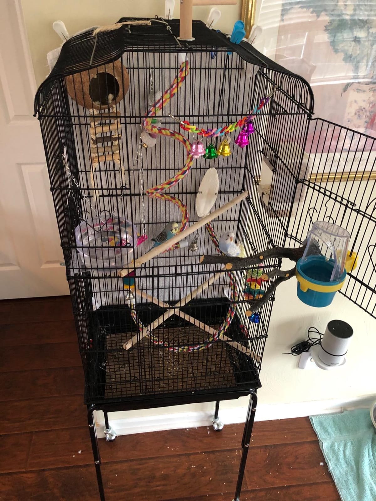Yaheetech 64'' Open Top Bird Cage for Parakeets & Cockatiels, Black customer photo 1