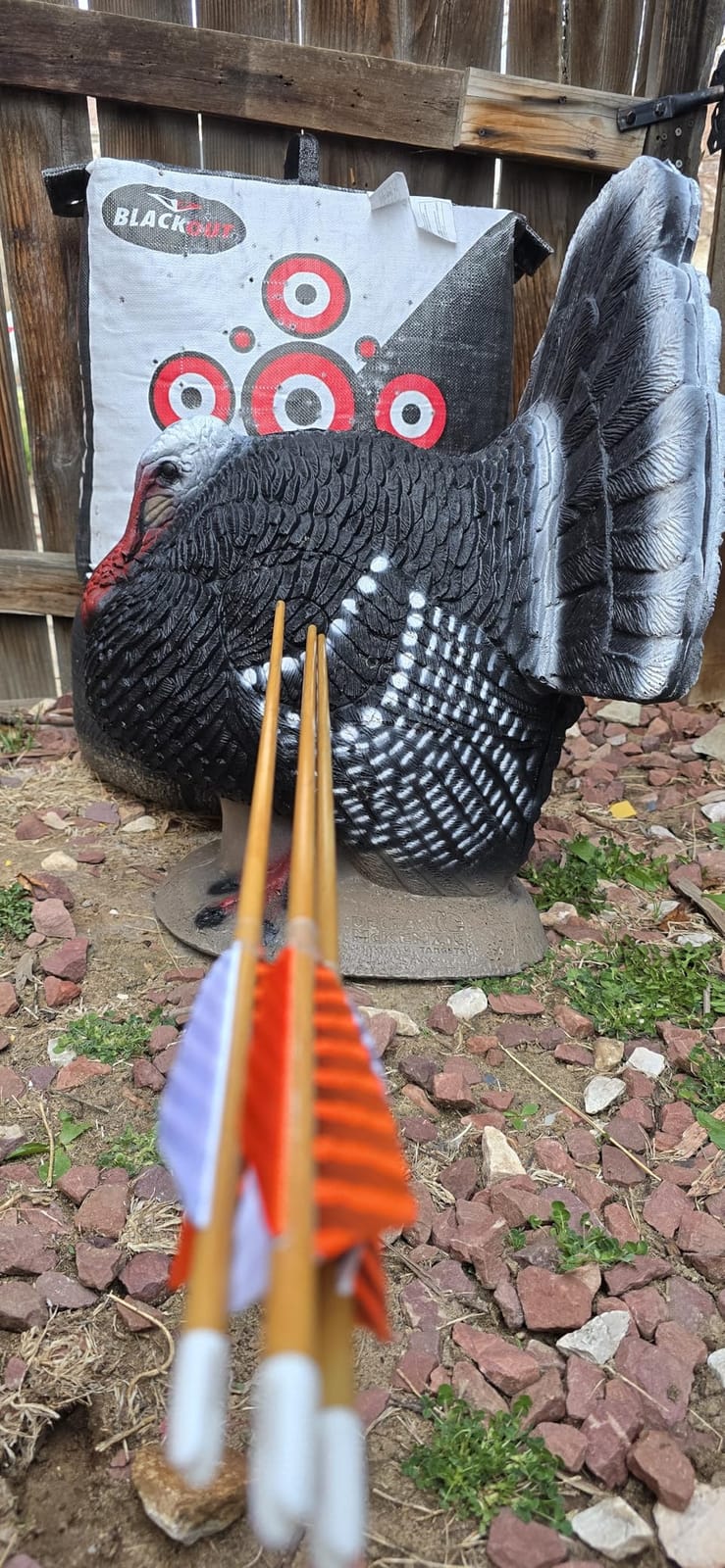 Obert Original Black Hunter Takedown Recurve Bow 60inch with Bamboo Core Limbs Archery Hunting Target Practice customer photo 1