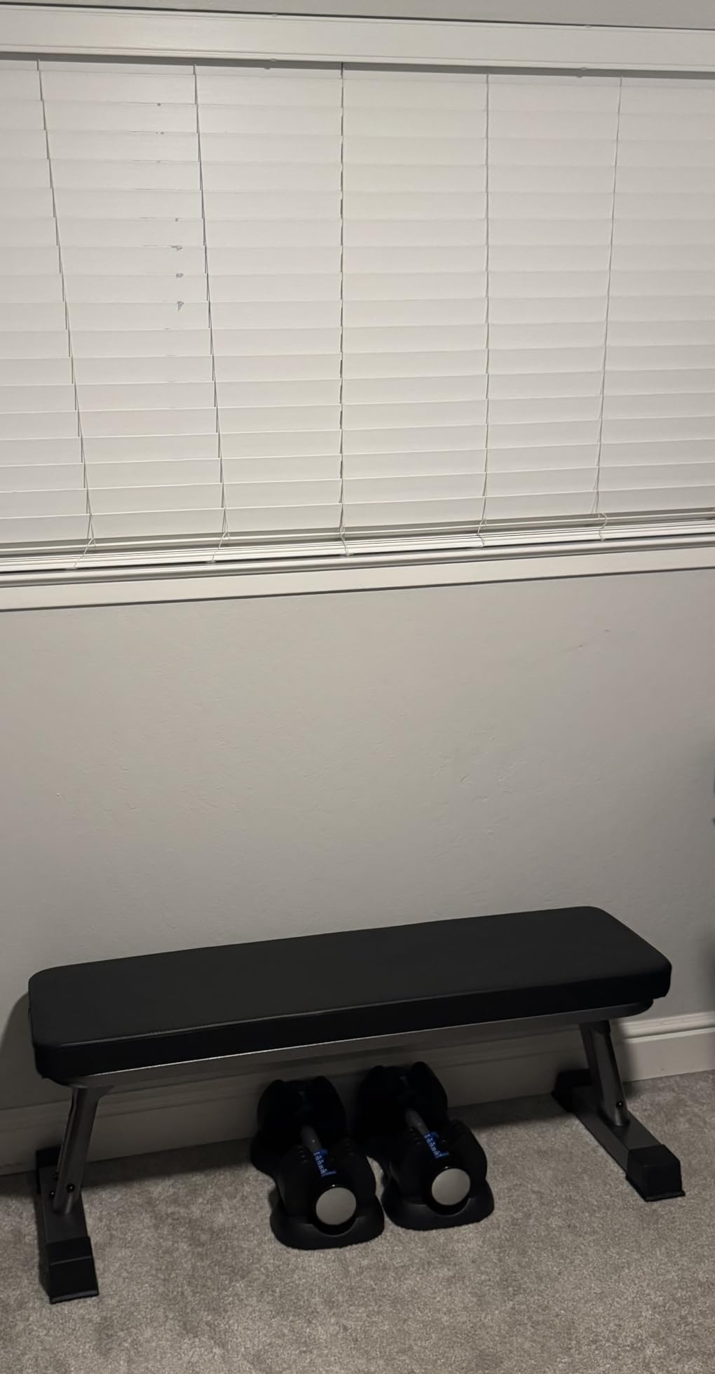 Finer Form Foldable Flat Weight Bench for Home Gym, 1,000 lb Capacity | 4-Way Steel Frame for Extra Stability, Thick Pad, Easy Folding Storage, Minimal Assembly, Free Workout Chart Included customer photo 1