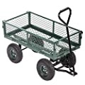 FDW | Heavy Duty Garden Cart with Wheels | Green | 500lbs Capacity customer photo 1
